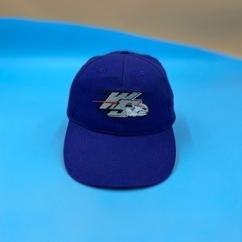 Vintage Winston Salem Baseball Hat